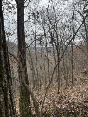 IMG_8623.jpeg