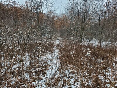 20240106_140045.jpg