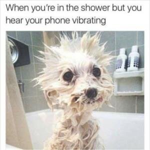 when-youre-in-the-shower-but-you-hear-your-phone-vibrating-memes.jpg