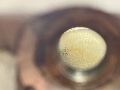IMG_4917.jpeg