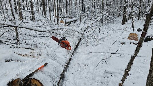 Logs&Snow.jpg