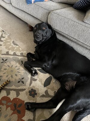 IMG_0542.jpeg