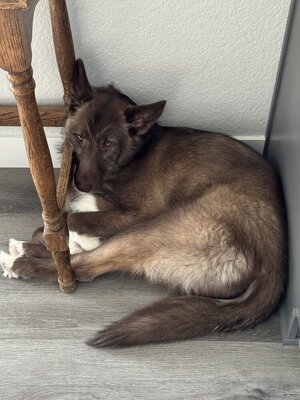 IMG_4554.jpeg