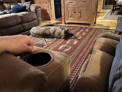 IMG_0605.jpeg