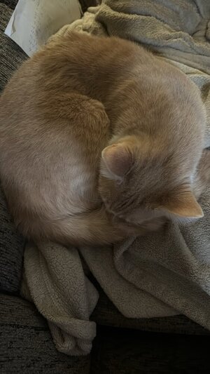 IMG_0304.jpeg