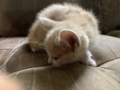 IMG_2671.jpeg