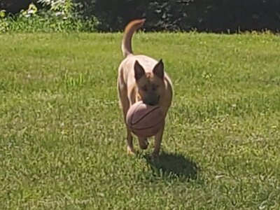 20230529_101051.jpg