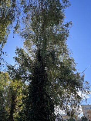 614E40D9-192E-4132-9261-715AD24E3C2C.jpeg