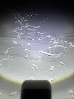 IMG_9493.jpeg
