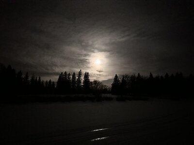 IMG_9521.jpeg