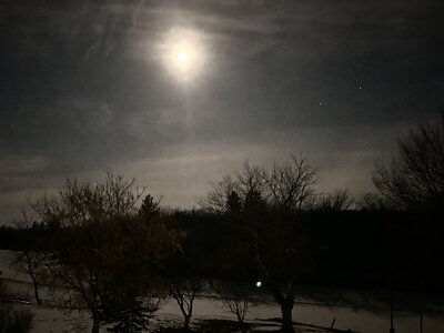 IMG_9524.jpeg