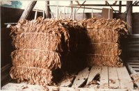 tobacco_bales.jpg