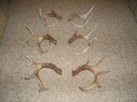 deersheds151413a.jpg