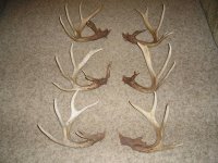 deersheds151413.jpg