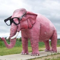 pink elephant.jpg