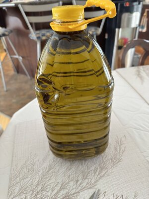 IMG_9545.jpeg