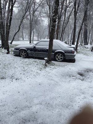 IMG_4235.jpeg