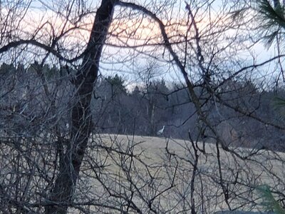 20240307_064210.jpg