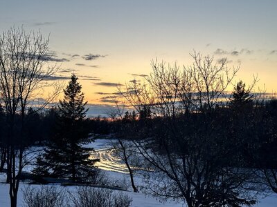 IMG_9554.jpeg