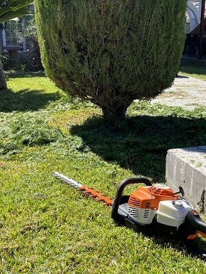 IMG_4395.jpeg
