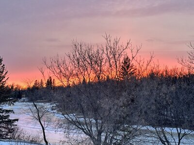 IMG_9579.jpeg