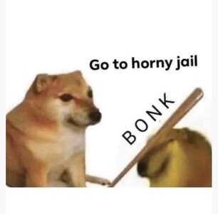 IMG_9006.jpeg