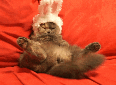 1711699137325.gif