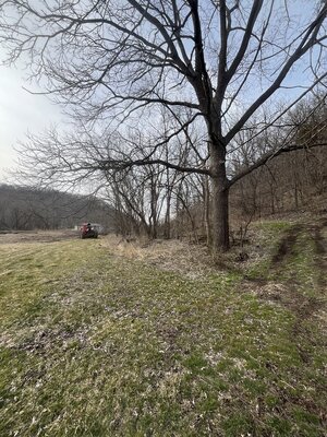 IMG_9024.jpeg