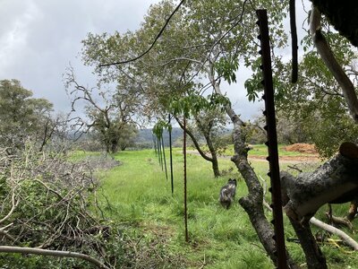 IMG_6715.jpeg
