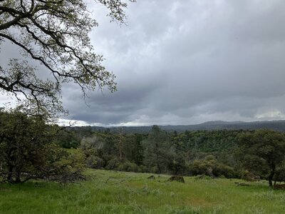 IMG_6716.jpeg