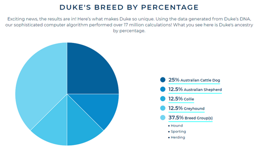 DukeDNA.png