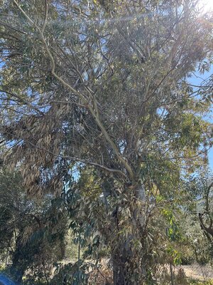 IMG_4489.jpeg