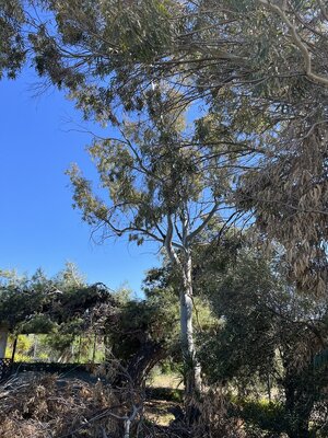 IMG_4488.jpeg