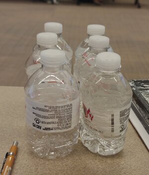 IMG_20240408_155818255.jpg