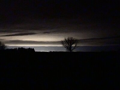 IMG_9625.jpeg