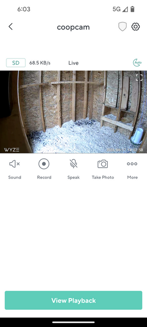 Screenshot_20240417-180301.png