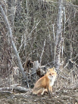 IMG_6783.jpeg