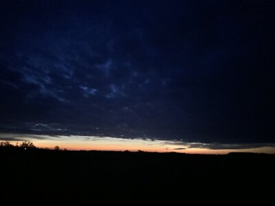 IMG_9847.jpeg