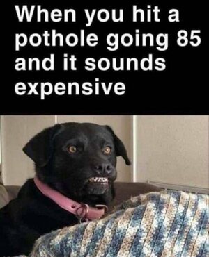 Hit_That_Pothole4699~2.jpg