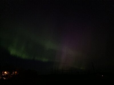 IMG_9890.jpeg