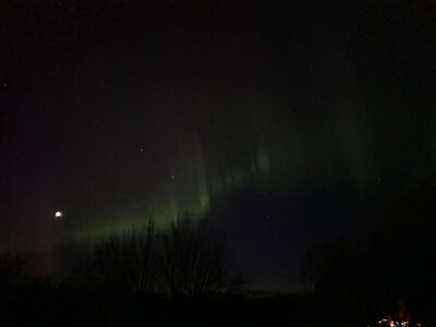 IMG_9897.jpeg