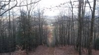 20161126_135048.jpg