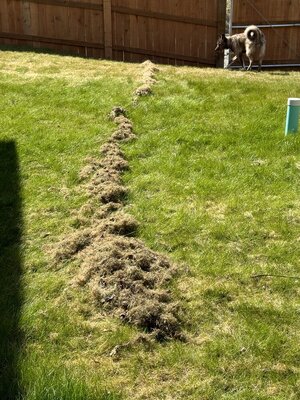 IMG_4960.jpeg