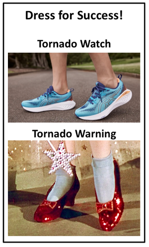 Tornado Shoes.png