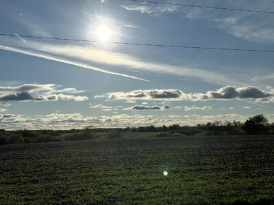 IMG_9938.jpeg