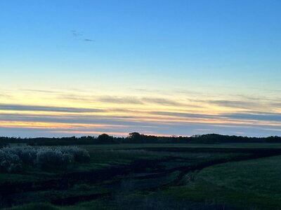 IMG_9940.jpeg