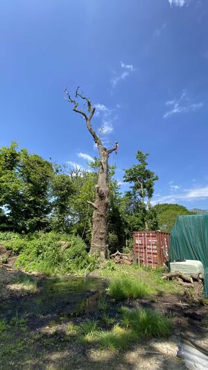 IMG_0956.jpeg