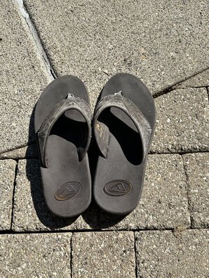 IMG_0748.jpeg