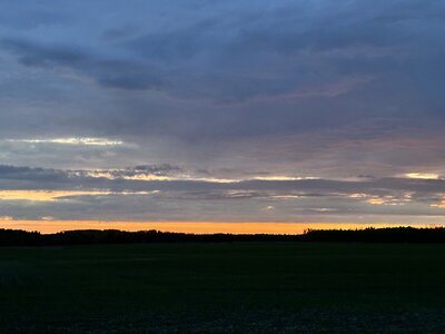 IMG_9950.jpeg