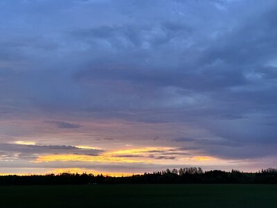 IMG_9951.jpeg